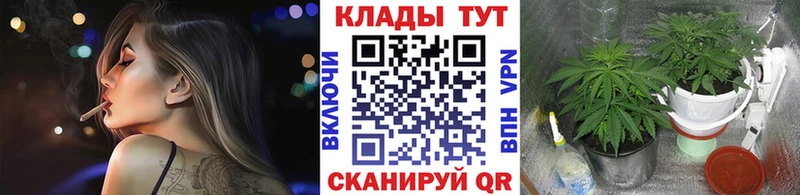 Наркошоп купить Гашиш  Героин  АМФЕТАМИН  Меф  Конопля  Белокуриха