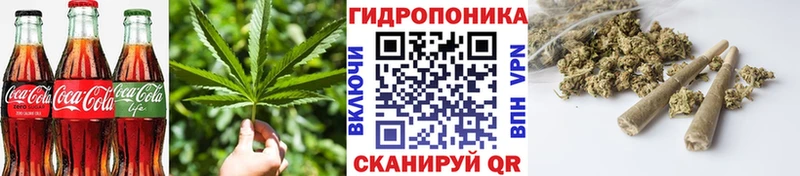 Купить где  Белокуриха  Печенье с ТГК марихуана 