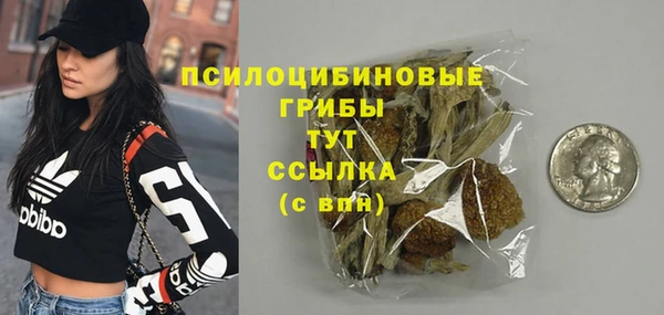 МДМА Каменка
