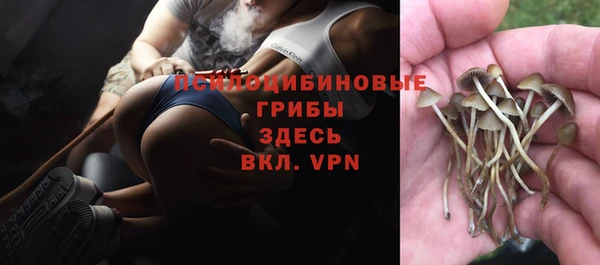 МДМА Каменка